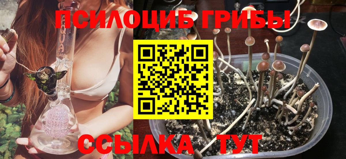 Псилоцибиновые грибы ЛСД  сколько стоит  Лениногорск  Вход с VPN  Псилоцибиновые грибы Psilocybine cubensis 